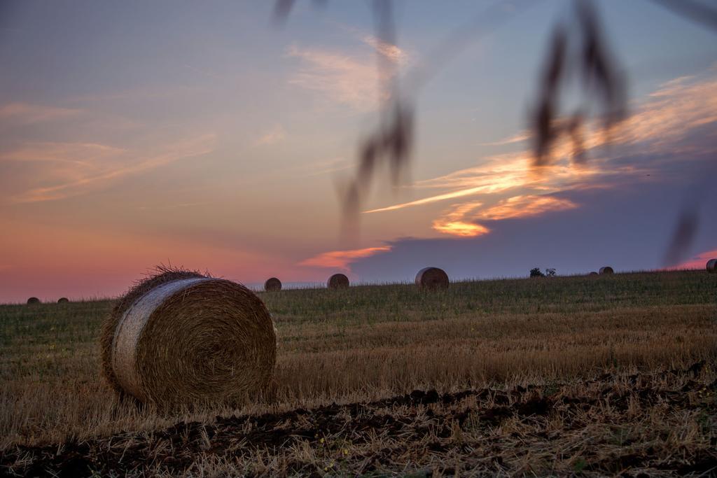 Agriturismo 4 Ricci Cerveteri Zewnętrze zdjęcie
